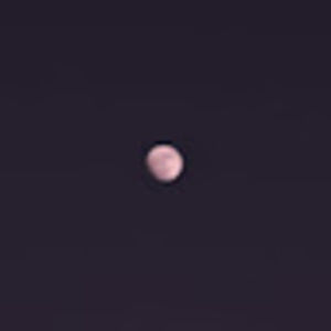 Meet your Posher, Jenn